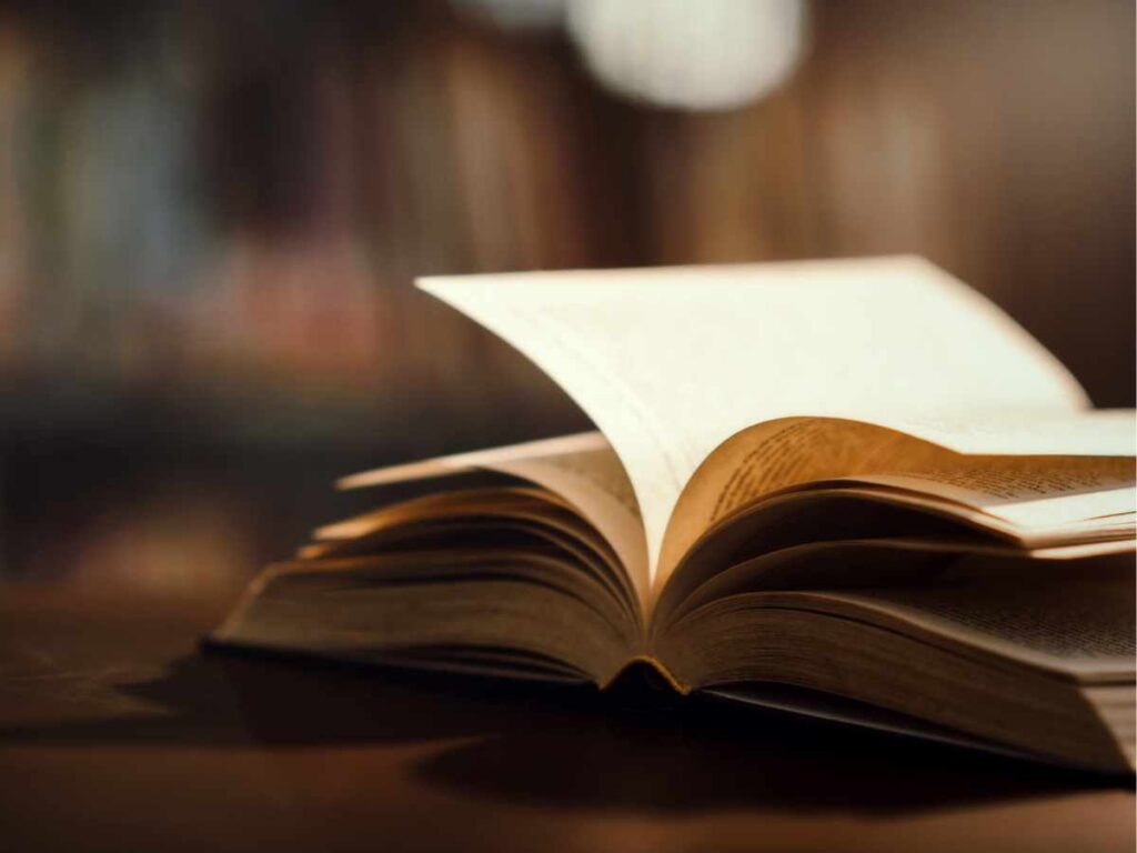 Ejemplo visual de revisión bibliográfica en un trabajo de fin de máster